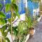 Cosy Appartement in "Sidi Bou Said"