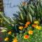 Thanda Vista B&B