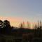 Korimako's Nest Garden Studio - Carterton