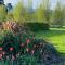 Korimako's Nest Garden Studio - Carterton
