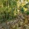 Banksia Rainforest Retreat in Buderim