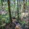 The Nature Hub - Parua Bay