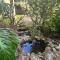 The Nature Hub - Parua Bay