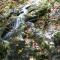40-Acre Ararat Escape On-Site Trails and Mtn Views!