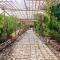 RIAD AMAN SKOURA