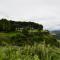 Drakenzicht KZN - 温特顿 Drakenzicht KZN - 温特顿