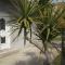 Apartments Ivica