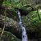 Drakenzicht KZN