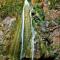 Apartment with garden view - Creta - 费马