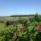 Buiten de Duinen