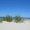 Buiten de Duinen