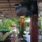 Mabuhay Guesthouse Kampot