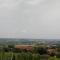 La vigna