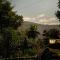 Chitral Green Guest House