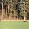 Awesome Home In Motala With Wifi And 0 Bedrooms - Motala