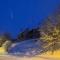 Chalet Aster - 格尔姆