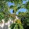 Port Charlotte Palms-Pet friendly, Heated Private Pool and Mini Orchard - بورت شارلوت