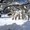Hochalm Comfortable holiday residence - 鲁波尔丁