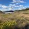 Pear Tree Cottage-Underberg