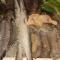 Bangbaobeach Resort - Csang-sziget