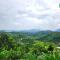 Midori Heritage Coffee Farm
