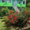 De Kolibrie Appartementen - Paramaribo