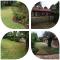 Oteng Guest House