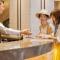 Comfort Suites Tokyo Bay