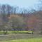 NEW BUILD Toccoa River Mist Riverfront Property w Hot Tub Firepit More - Блу-Ридж