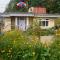 Tranquil Retreat Homestay