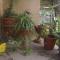 Tranquil Retreat Homestay