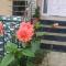 Tranquil Retreat Homestay