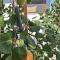 Apartment EnEm 2 Blagaj