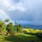 Waipio Ocean View Oasis - Kukuihaele