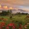 Bramber Cottage Hogsback, Living With Joy!