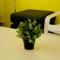 Seoul Dalbit Dongdaemun Guesthouse