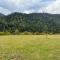 Buddy House Borjomi Buddy House Borjomi