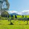 Lush Escape - Lake Taupo Holiday Home - 图朗伊