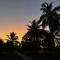 Coconut Mafia Island Bungalows