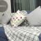 Almas Suites Cozy Relax Studio Seaview BySTAY