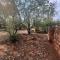Damascus Bush Lodge