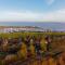 De Druif 6 pers holiday home close to the National Park Lauwersmeer - Anjum