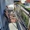 Apartman Ružica