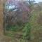 CASA FRAN Departamento temporal
