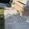 Cozy Home away in Ajax 2 BR 1 bath 4 guests - Ajax