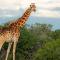 Longhill Reserve - Addo