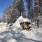 Aurora Cabin - Saariselkä