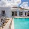 Kastro Seaview Pool Suites - 米克诺斯城