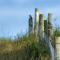 The Workshop- Eco Cottage by the Coastal Path - Goodwick
