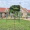 kashamba accommodation - Kyegegwa